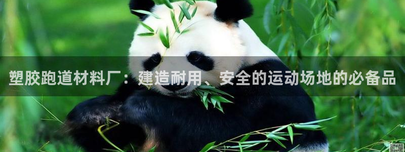 百度红足一1使用说明：塑胶跑道材料厂：建造耐用、安全的运动场地的必备品