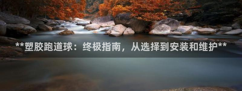 红足一比分网：**塑胶跑道球：终极指南，从选择到安装和维护**