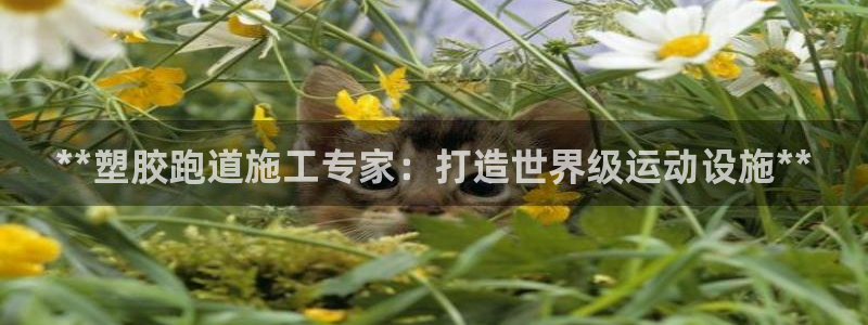 红足1世足球比分网址：**塑胶跑道施工专家：打造世界级运动设施**