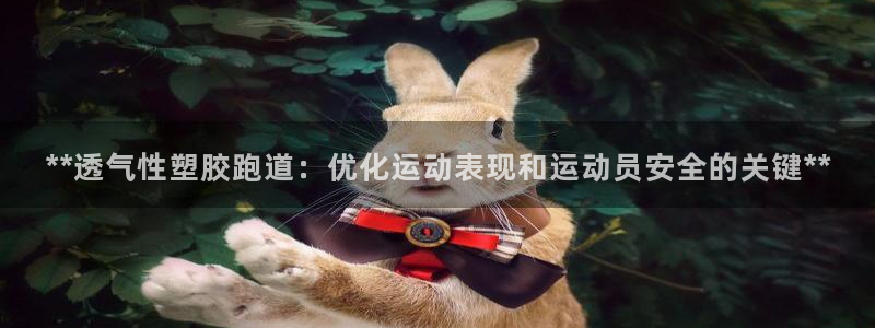 红足1世足球比分：**透气性塑胶跑道：优化运动表现和运动员安全的关键**