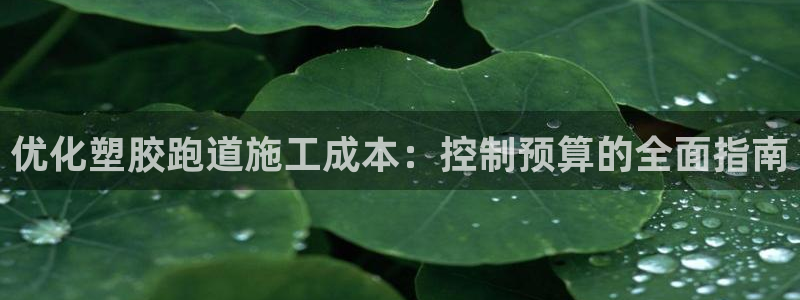 红世一足球比分：优化塑胶跑道施工成本：控制预算的全面指南