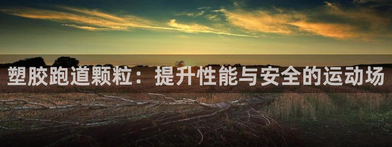 红足一1世皇冠登录：塑胶跑道颗粒：提升性能与安全的运动场