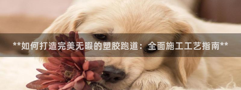 红足1世手机下载：**如何打造完美无暇的塑胶跑道：全面施工工艺指南**