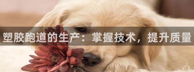 红足1世手机下载：塑胶跑道的生产：掌握技术，提升质量