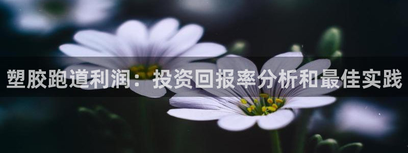 红足一一世足球网开奖记录：塑胶跑道利润：投资回报率分析和最佳实践