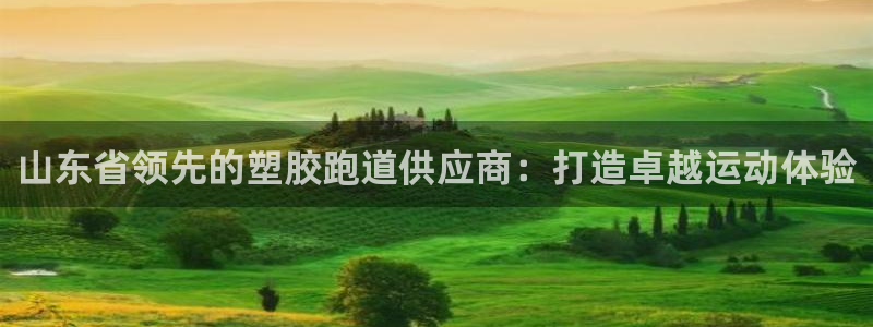 红足1世足球网址大全：山东省领先的塑胶跑道供应商：打造卓越运动体验