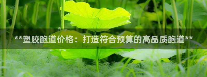 百度红足一1是什么样子的：**塑胶跑道价格：打造符合预算的高品质跑道**