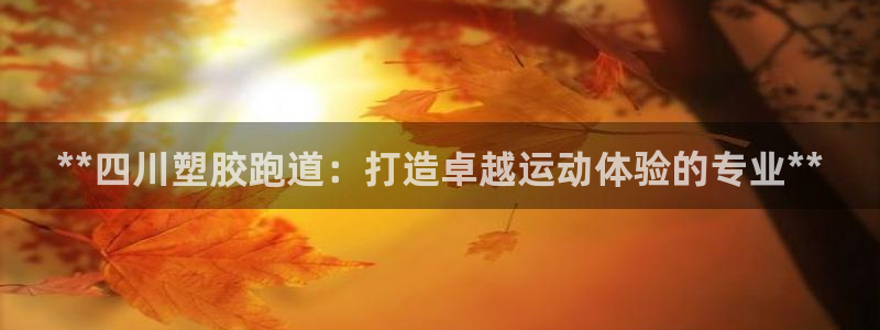 红足一生世：**四川塑胶跑道：打造卓越运动体验的专业**