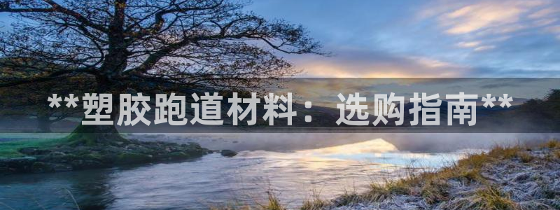 红足 世足球手机网：**塑胶跑道材料：选购指南**