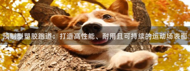 4633333开奖结果4176一点红：预制型塑胶跑道：打造高性能、耐用且可持续的运动场表面
