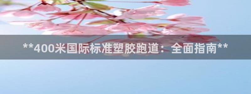 百度红足一1世：**400米国际标准塑胶跑道：全面指南**