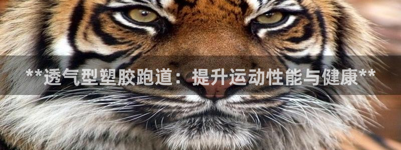 红足1世足球网址大全：**透气型塑胶跑道：提升运动性能与健康**