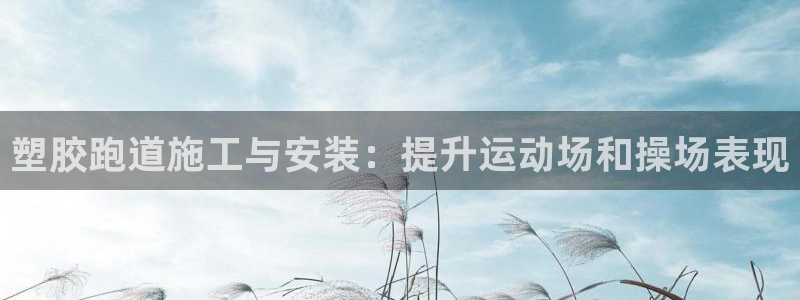 红足一1世66814：塑胶跑道施工与安装：提升运动场和操场表现