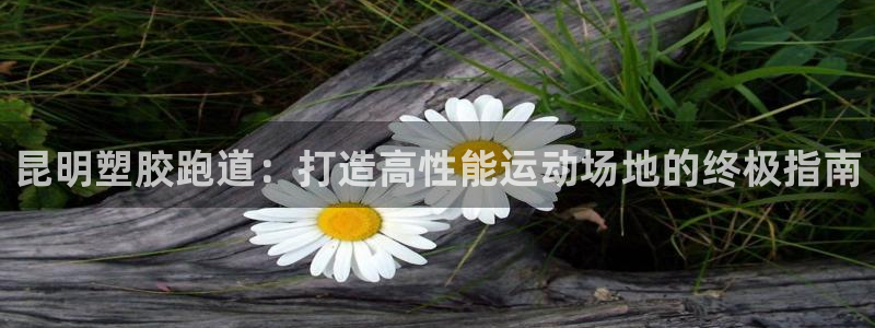 红足一1世官网：昆明塑胶跑道：打造高性能运动场地的终极指南