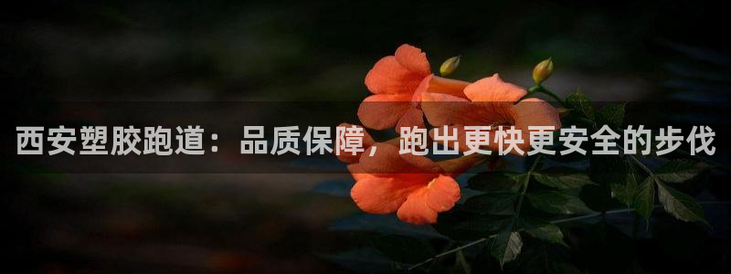 红足一1世66814：西安塑胶跑道：品质保障，跑出更快更安全的步伐
