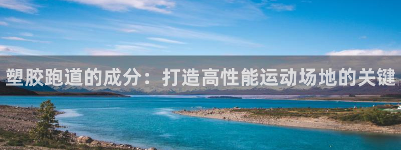 红足1世足球网址大全：塑胶跑道的成分：打造高性能运动场地的关键