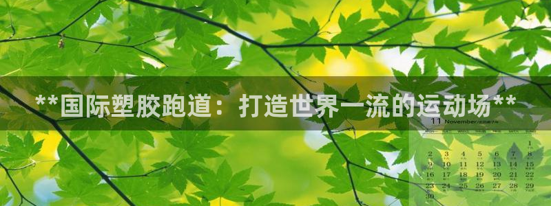 红足一1世开奖记录：**国际塑胶跑道：打造世界一流的运动场**