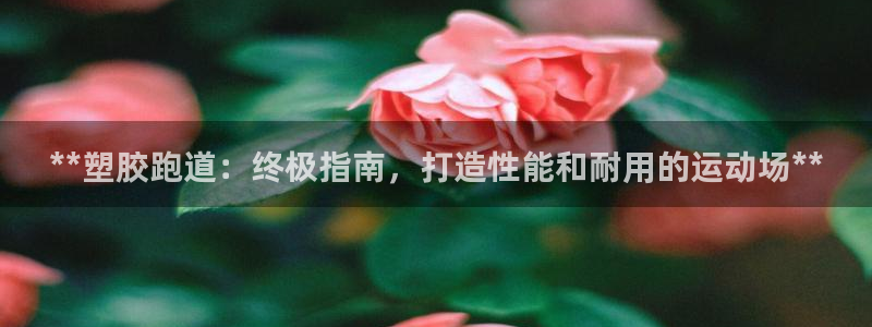 777814红·足一世：**塑胶跑道：终极指南，打造性能和耐用的运动场**