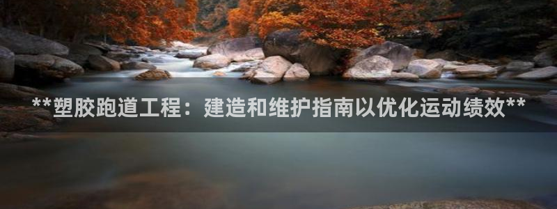 红足1一世：**塑胶跑道工程：建造和维护指南以优化运动绩效**