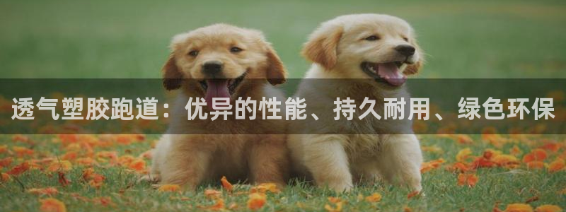 红足一生世：透气塑胶跑道：优异的性能、持久耐用、绿色环保