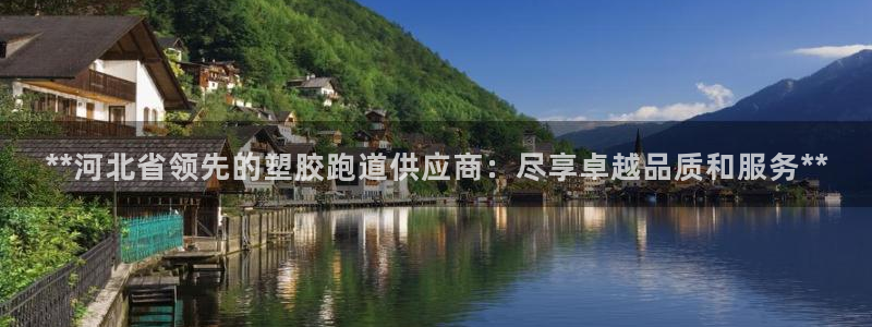 红姐现场直播开奖记录：**河北省领先的塑胶跑道供应商：尽享卓越品质和服务**