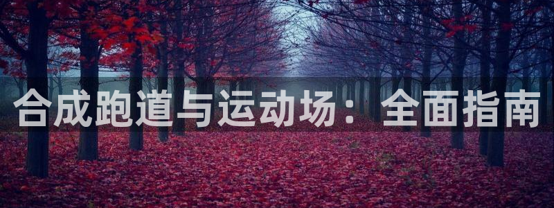 红足一1世比分：合成跑道与运动场：全面指南