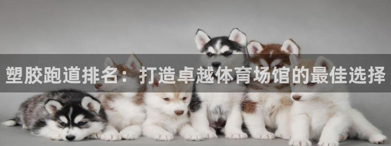 777814红·足一世：塑胶跑道排名：打造卓越体育场馆的最佳选择