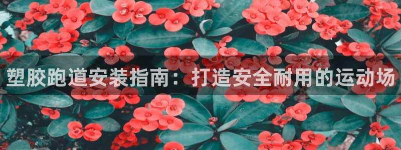 红足一1世官网：塑胶跑道安装指南：打造安全耐用的运动场
