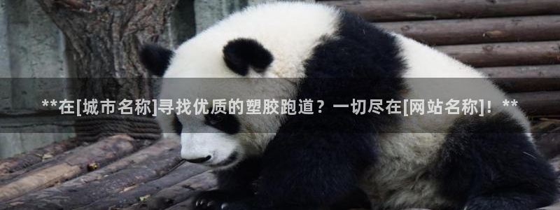 红足1世足球比分 localhost：**在[城市名称]寻找优质的塑胶跑道？一切尽在[网站名称]！**