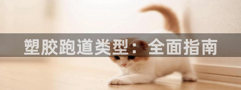 红足一1世手机版新皇冠：塑胶跑道类型：全面指南