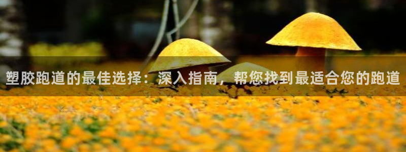 新2足球平台出租网站：塑胶跑道的最佳选择：深入指南，帮您找到最适合您的跑道