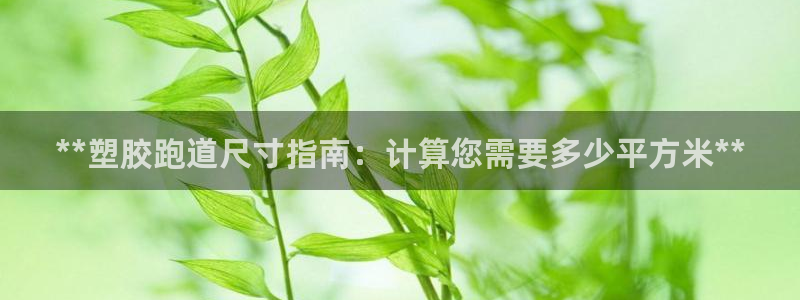 红足一1世66814新宝：**塑胶跑道尺寸指南：计算您需要多少平方米**
