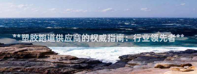 红足一1世比分：**塑胶跑道供应商的权威指南：行业领先者**