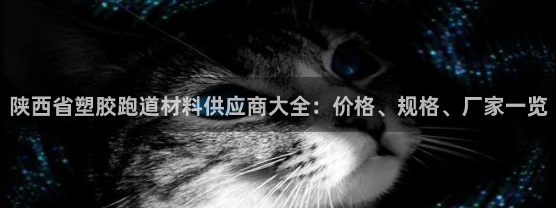 77814红足1世：陕西省塑胶跑道材料供应商大全：价格、规格、厂家一览