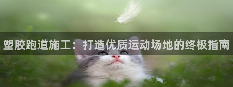 百度红足一1视频在线观看