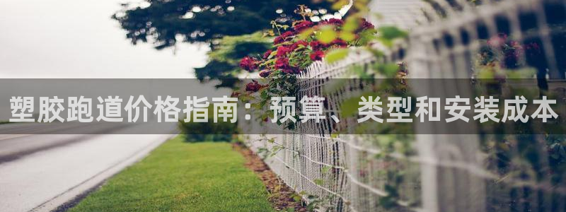 66814红足：塑胶跑道价格指南：预算、类型和安装成本