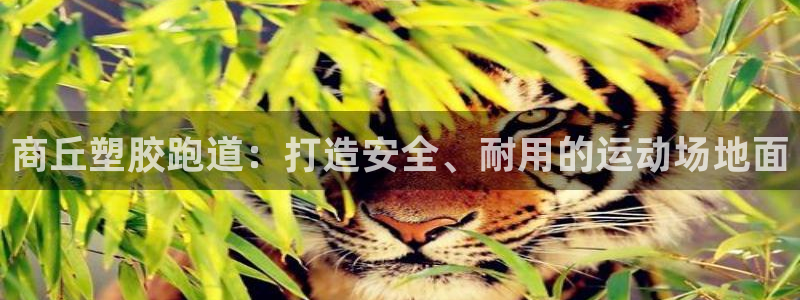 666814红·足一世比分