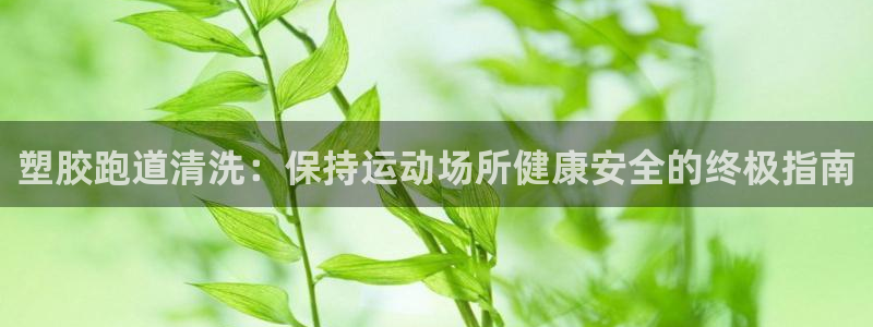 百度红足一1是为什么：塑胶跑道清洗：保持运动场所健康安全的终极指南