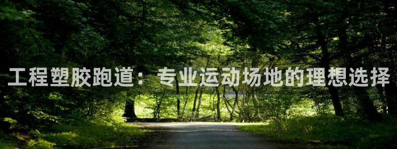 红足一1世66814新宝：工程塑胶跑道：专业运动场地的理想选择