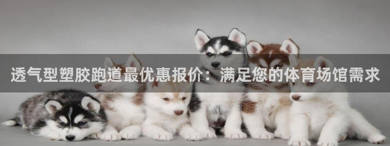 红足一：透气型塑胶跑道最优惠报价：满足您的体育场馆需求