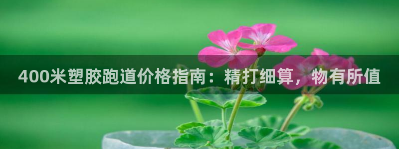 55814红足1世：400米塑胶跑道价格指南：精打细算，物有所值