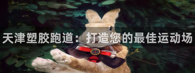 红足1世手足球比分：天津塑胶跑道：打造您的最佳运动场
