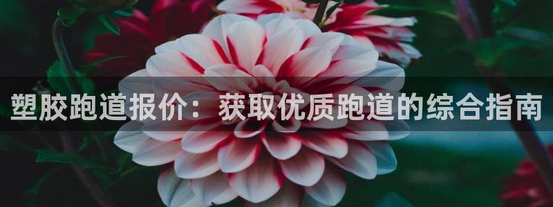 红足1世官网