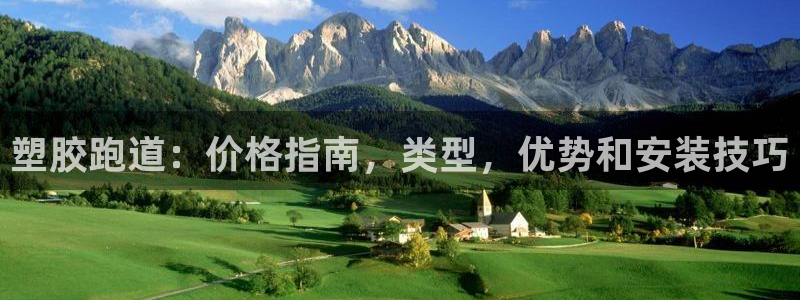 红足1世足球：塑胶跑道：价格指南，类型，优势和安装技巧