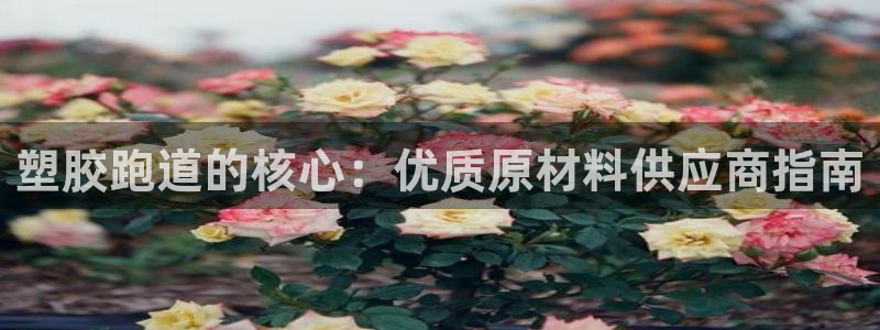 红足1世足球比分 localhost