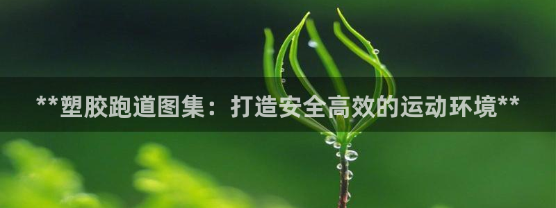 666814红·足一世比分：**塑胶跑道图集：打造安全高效的运动环境**