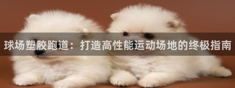 红足一1世即时比分