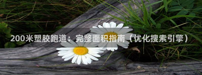 红足1世手机板：200米塑胶跑道：完整面积指南（优化搜索引擎）