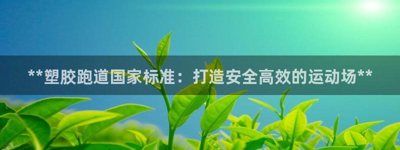 红足一1世皇冠登录：**塑胶跑道国家标准：打造安全高效的运动场**