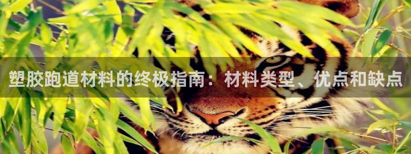 777814红·足一世比分